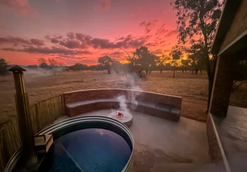 hottub&bush